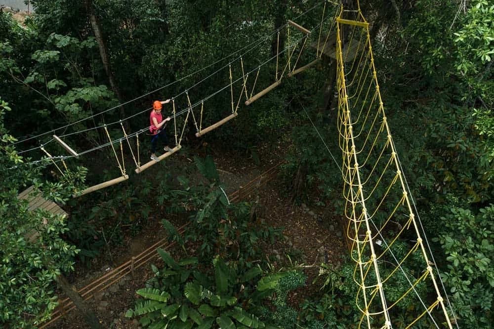 Wide canopy bridge in jungle, single figure — best wide canopy-tour shot.