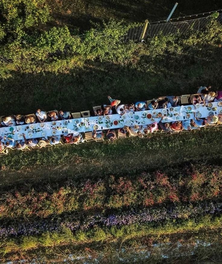 Aerial of long communal table with families dining outside — shared-food culture.